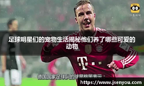 足球明星们的宠物生活揭秘他们养了哪些可爱的动物