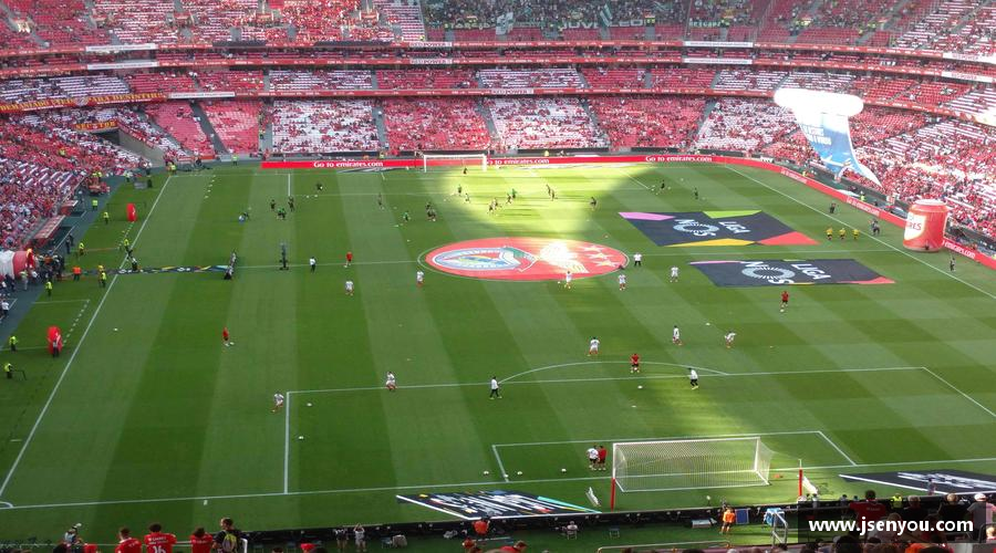 无惧失败，追逐胜利！